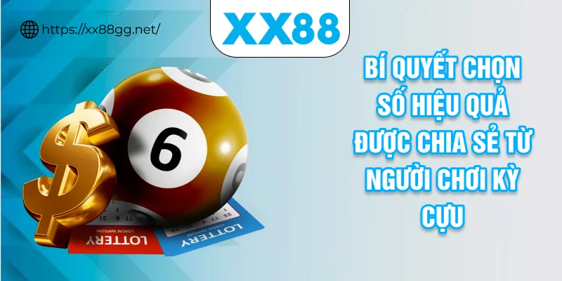 Bí quyết chọn số hiệu quả được chia sẻ từ người chơi kỳ cựu