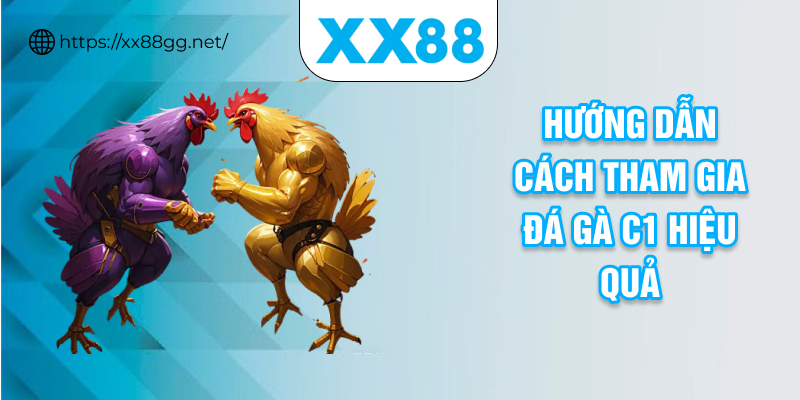 Hướng dẫn cách tham gia đá gà c1 hiệu quả