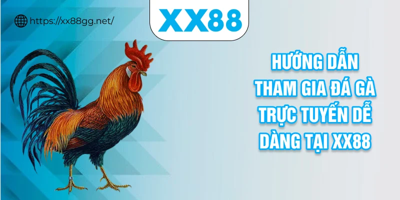 Hướng dẫn tham gia đá gà trực tuyến dễ dàng tại XX88