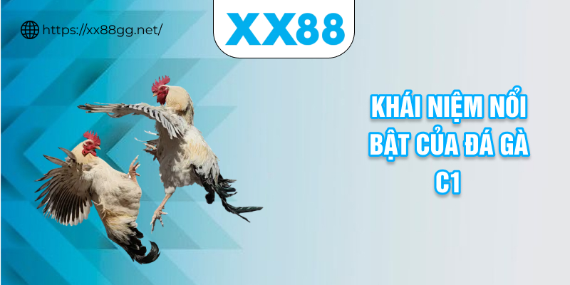 Khái niệm nổi bật của đá gà c1