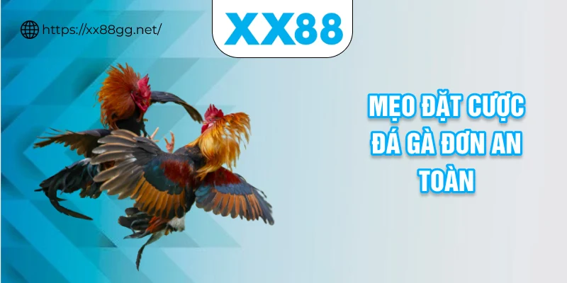 Mẹo đặt cược đá gà đơn an toàn