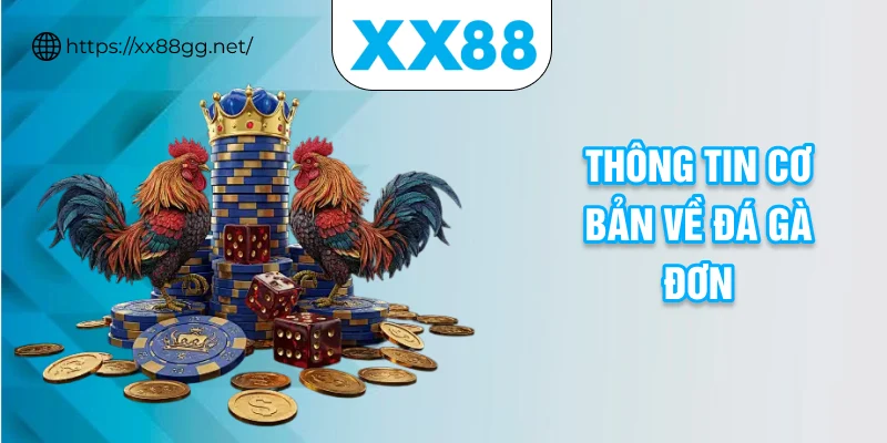 Thông tin cơ bản về đá gà đơn